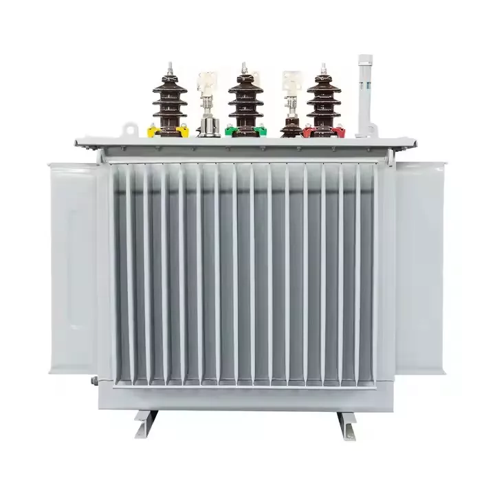 1000 kva aliejaus panardintas transformatorius